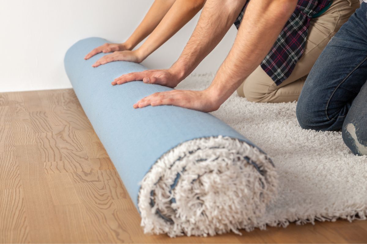 How To Deal With Squeaky Floors Under Your Carpets Ryalux