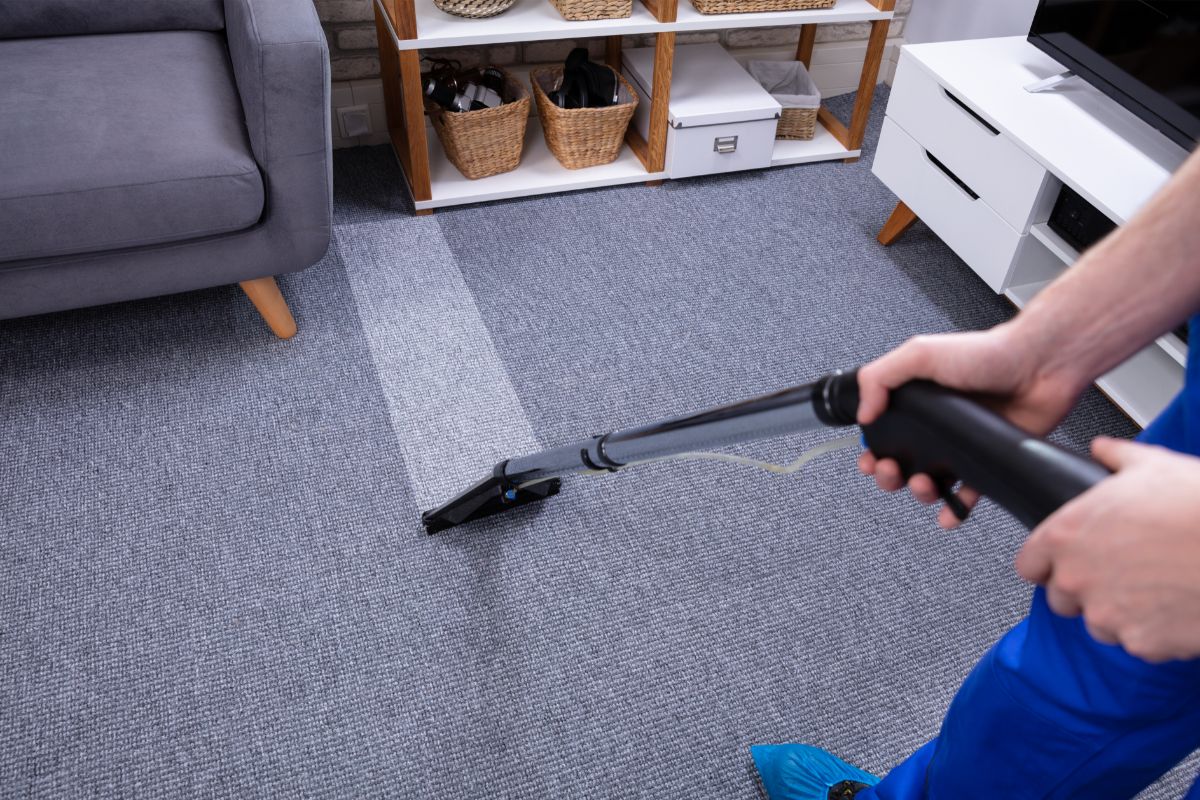 Which Is The Best Rental Carpet Cleaner? Pros And Cons Ryalux